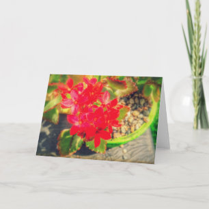 Hübsche Rote Blüte Blume Karte