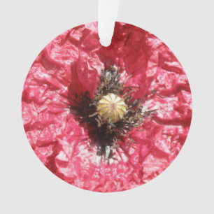 Hübsche Rote Mohnblume Blume Makro Akronylic Ornam Ornament