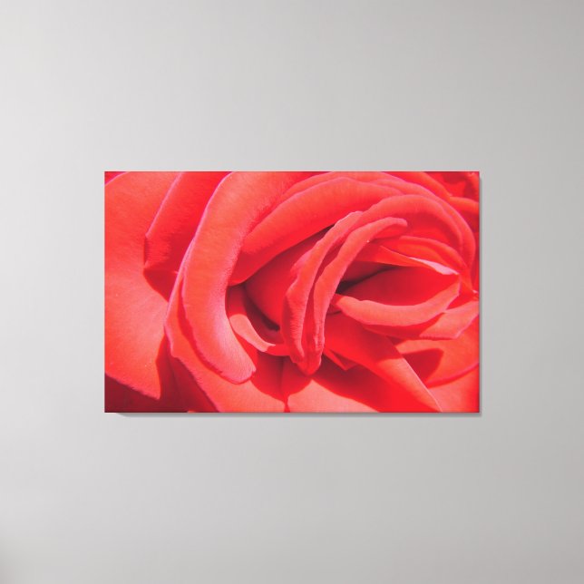 hübsche rote Rose Blume Foto Kunstwerk. Liebe Leinwanddruck (Vorderseite)