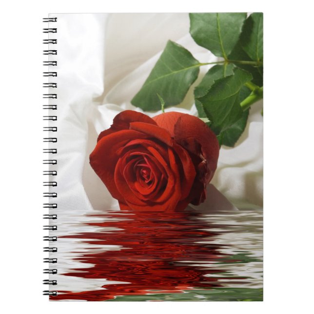 Hübsche Rote Rose mit Reflektion Notizblock (Vorderseite)