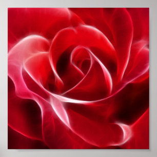 Hübsche Rote Rose Poster