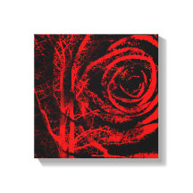 Hübsche, rote und schwarze Rose - Canvas drucken