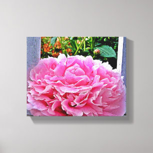 Hübsche Rustikale Pink Peony Blume Leinwanddruck