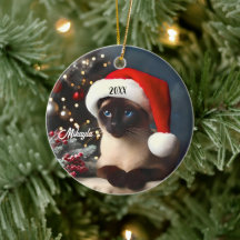 Hübsche siamesische Katze in einer Weihnachtsmannm