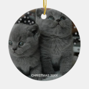 Hübsche Silbergraue Kitty Katzen & editierbarer Te Keramik Ornament