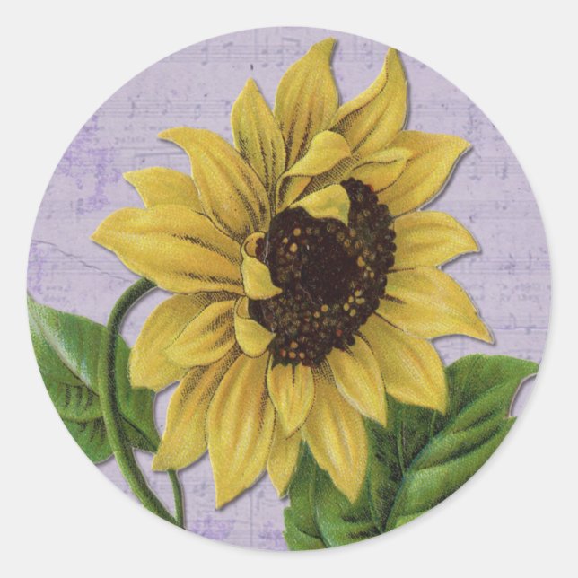 Hübsche Sonnenblume auf Notenmusik Runder Aufkleber (Vorderseite)
