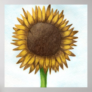 Hübsche Sonnenblume Poster