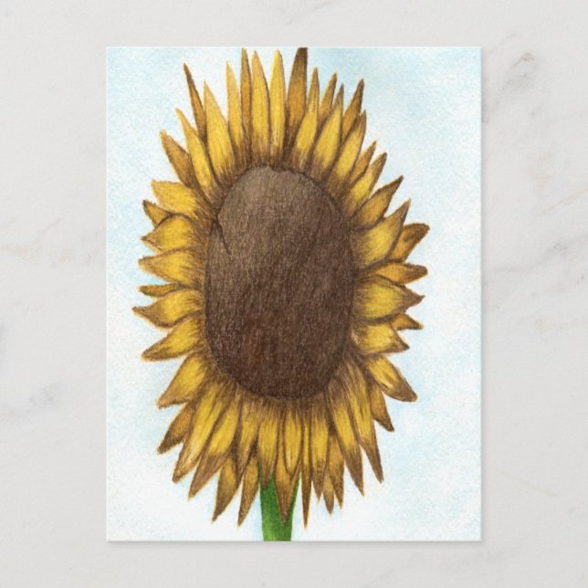 Hübsche Sonnenblume Postkarte (Vorderseite)