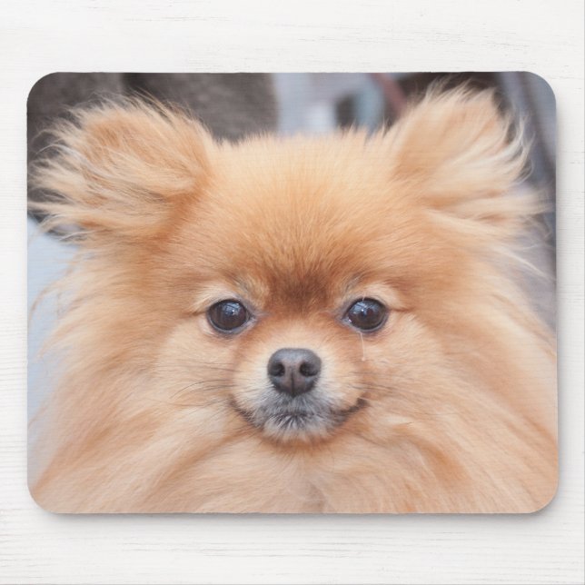 Hübsche Spitz-Mausunterlage Mousepad (Vorne)