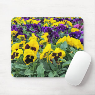 Hübsche Stiefmütterchen in einem Greenhouse Mousepad