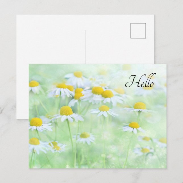 Hübsche Tage in einem Feldfoto Postkarte (Vorne/Hinten)