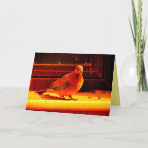 Hübsche Taube Karte