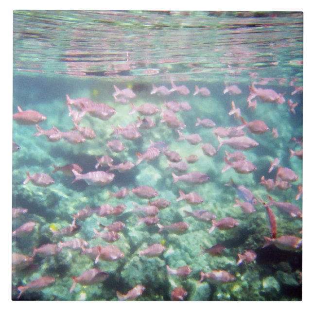 Hübsche Tropenfisch-Keramik Fliese (Vorderseite)