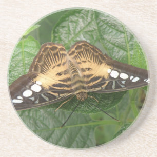 Hübsche Tropenklappenschmetterling-Untersetzer Untersetzer