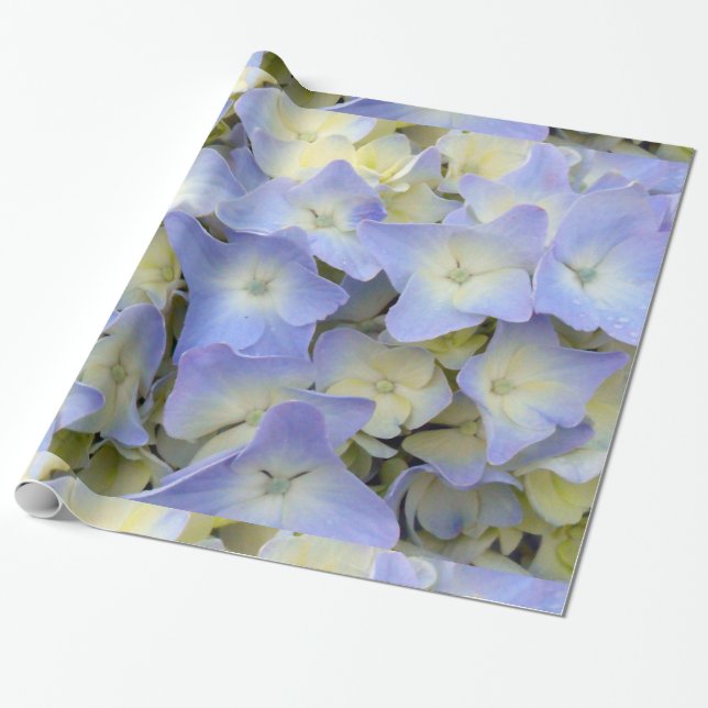 Hübsche und bunte hellblaue Hydrangea-Blumen Geschenkpapier (Ungerollt)