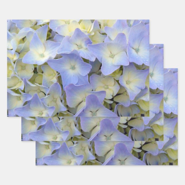 Hübsche und farbenfrohe Blume mit leichtem Blauwas Geschenkpapier Set (Set)