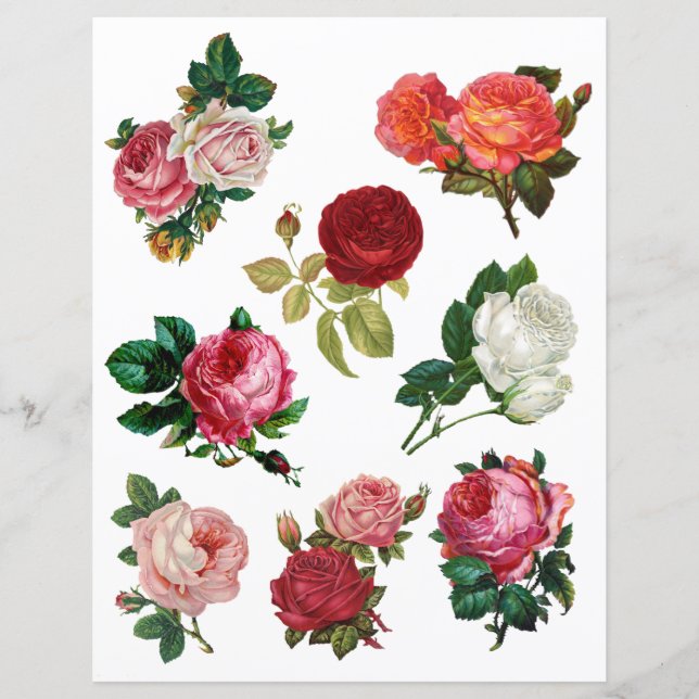 Hübsche Vintage Rose Fussy Cut Scrapbook Paper (Vorderseite)
