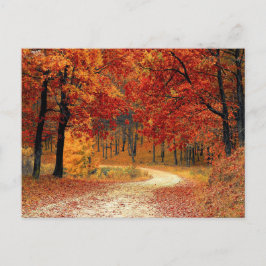 Hübsche Waldpostkarte Postkarte
