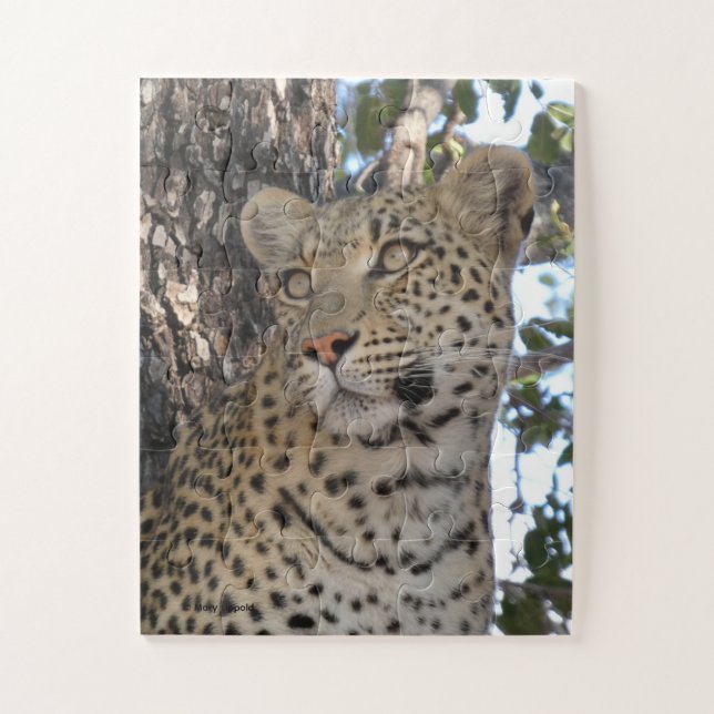 HÜBSCHE WEIBLICHE LEOPARDIN NAHAUFNAHME (Vertikal)