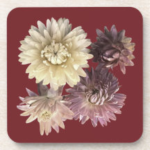 hübsche, weiche, rosa Erdblume auf dunkelrotem Set