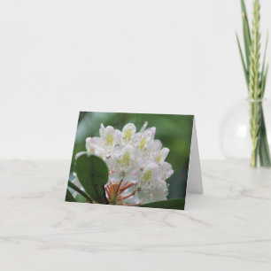Hübsche weiße Azaleenblüten-Fotografie-Notiz Karte