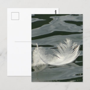 Hübsche weiße Feder Postkarte