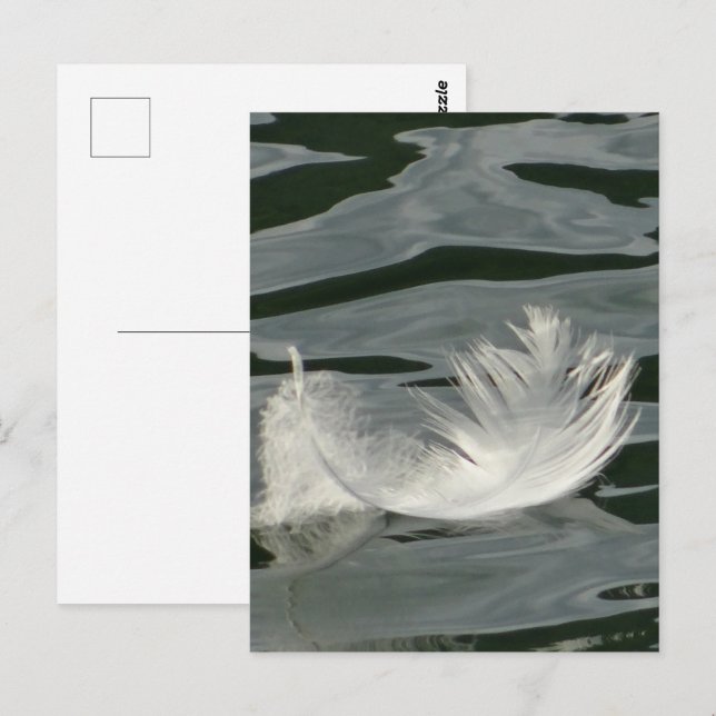 Hübsche weiße Feder Postkarte (Vorne/Hinten)
