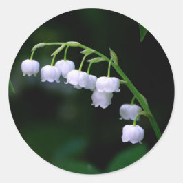 Hübsche Weiße Lilie des Valley Floral Foto Runder Aufkleber