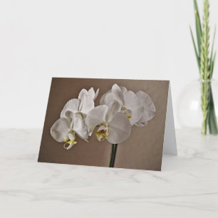 Hübsche weiße Orchideen-Blume Karte
