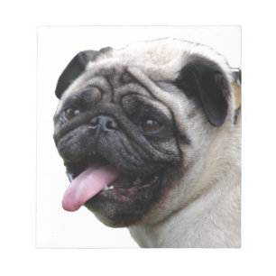 Hübsche weiße Pug-Foto-Accessoires, Namen hinzufüg Notizblock