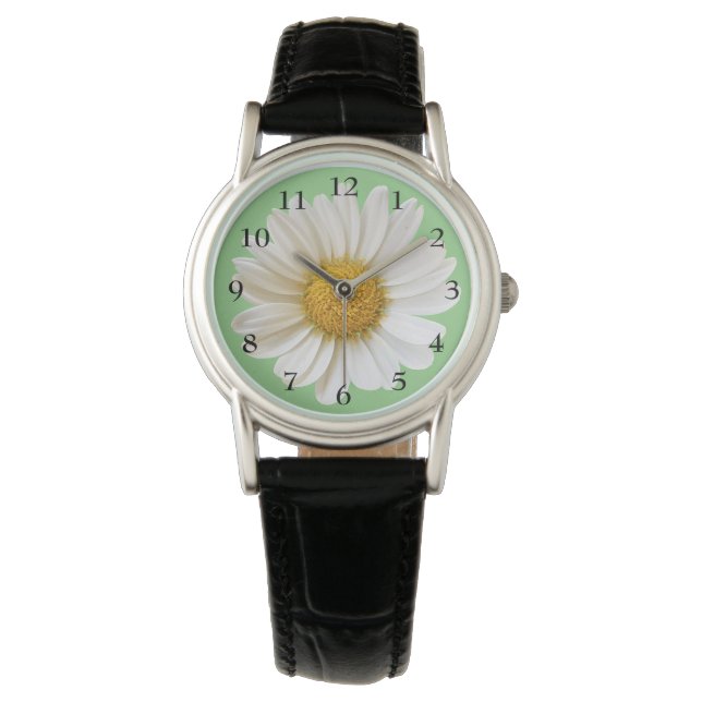 Hübsche White Daisy auf Sage Green Armbanduhr (Vorderseite)
