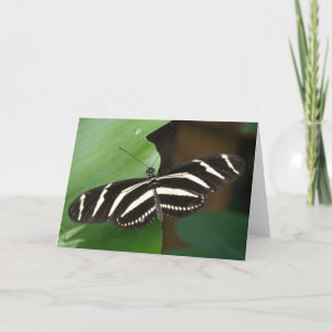Hübsche Zebra Longwing Butterfly Grußkarte Karte