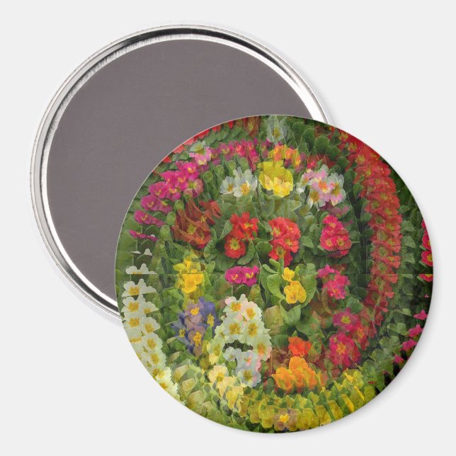 Hübscher Abend Primroses.... Magnet (Vorderseite/Rückseite)