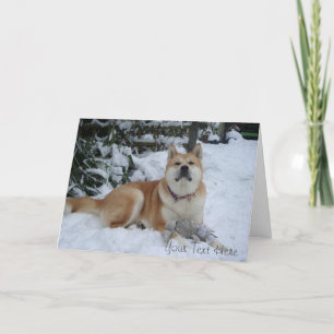 hübscher Akita-Hund ruht im Schnee Weihnachten