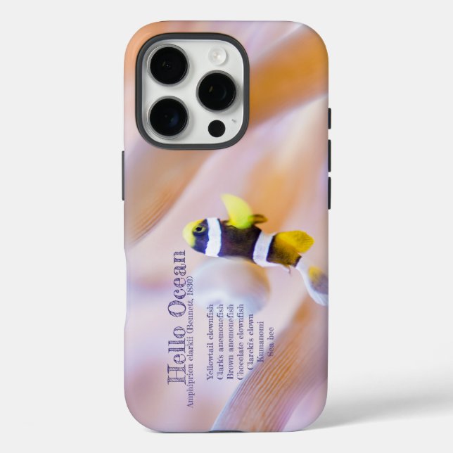 hübscher Anemonefisch iPhone 16 Pro Hülle (Rückseite)