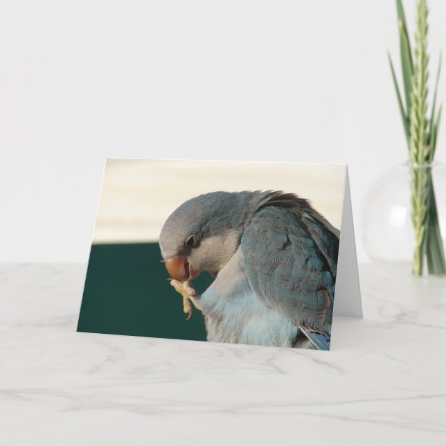 Hübscher Bird Karte (Vorderseite)