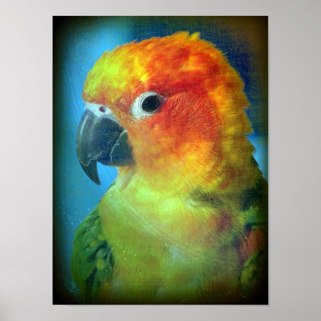 Hübscher Bird Poster (Vorne)