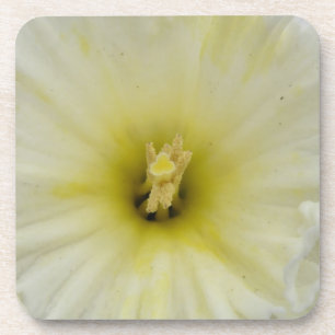 Hübscher blass-daffodischer Cork-Untersetzer Untersetzer