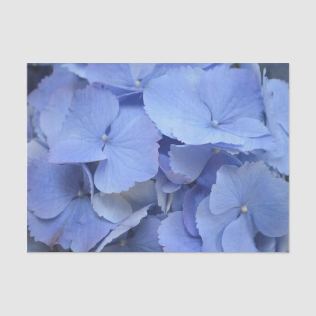 Hübscher blauer Hydrangea Seidenpapier (Vorderseite)