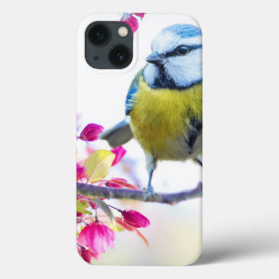 Hübscher Blauer und Gelber Bird auf einem Zweigbil Case-Mate iPhone Hülle