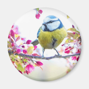 Hübscher Blauer und Gelber Bird auf einem Zweigbil Magnet