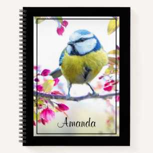 Hübscher Blauer und Gelber Bird auf einem Zweigbil Notizbuch
