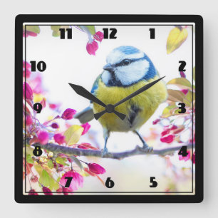 Hübscher Blauer und Gelber Bird auf einem Zweigbil Quadratische Wanduhr