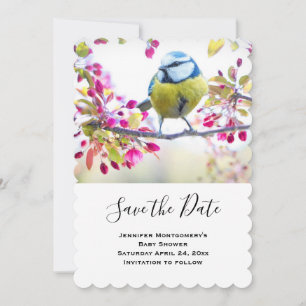 Hübscher Blauer und Gelber Bird auf einem Zweigbil Save The Date