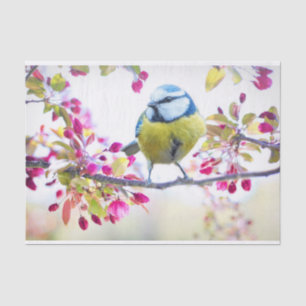 Hübscher Blauer und Gelber Bird auf einem Zweigbil Seidenpapier