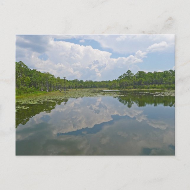 Hübscher Blick auf den See bei Tallahassee Florida Postkarte (Vorderseite)