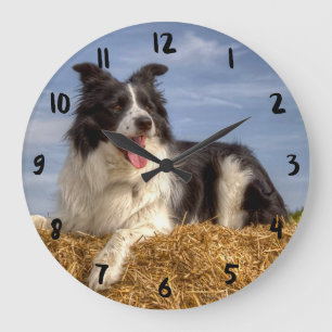 Hübscher Border Collie auf Strohballen-Uhr Große Wanduhr