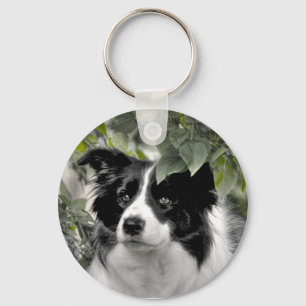 Hübscher Collie Hund Schlüsselanhänger