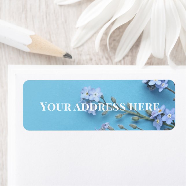 Hübscher Frühjahrsguss-nicht-Blume (Insitu)