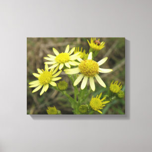 Hübscher Gelber Wildblumen-Leinwanddruck Leinwanddruck